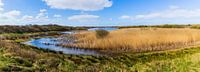 Panorama of nature reserve Kroon's Polders on Vlieland by Henk Meijer Photography thumbnail