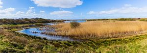 Panorama des Naturschutzgebietes Kroon's Polders auf Vlieland