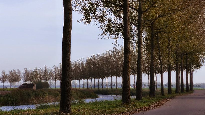 Herfst van Bert Seinstra
