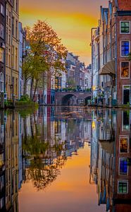 Oudegracht Maartensbrug Utrecht van Freek van den Bergh