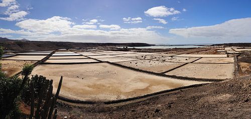 Salinas de Janubio
