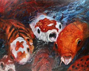 Des carpes koï affamées