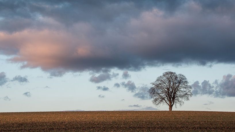 Der letzte Sonnenstrahl von Anselm Ziegler Photography