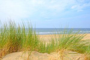 Vue depuis les dunes sur la plage de sable de la côte de la mer du Nord  sur Sjoerd van der Wal Photographie