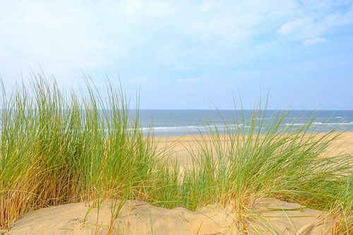 Uitzicht vanaf de duinen op het strand van de Noordzee