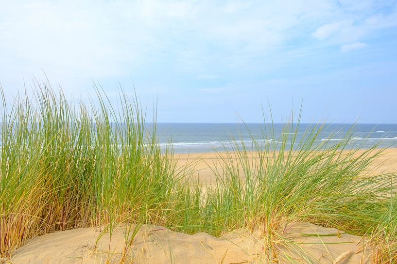 Vue depuis les dunes sur la plage de sable de la côte de la mer du Nord  par Sjoerd van der Wal Photographie