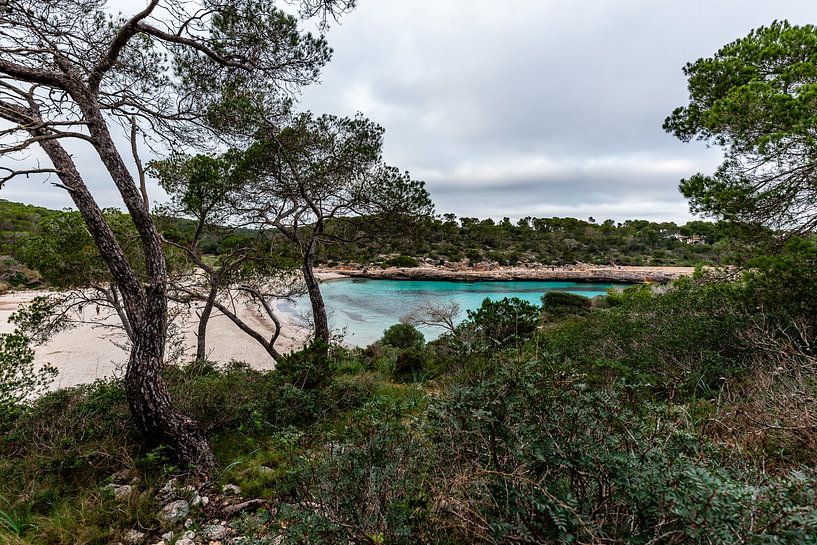 Turquoise baai in Nationaal Park Mondragó, omgeven door bomen, Mallorca van Joke Van Eeghem