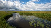 Polderlandschap
