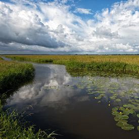 Le paysage des polders sur René Vos