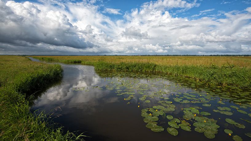 Polderlandschap van René Vos