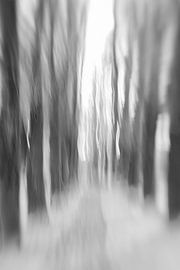 Aquarell einer Allee von Bäumen 2 von Patricia van Kuik