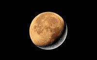 Two moons form one