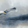 Gull In Water Watercolor Painting by Diana van Tankeren