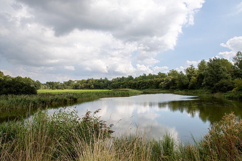 Kanal im Katinger Watt von Alexander Wolff