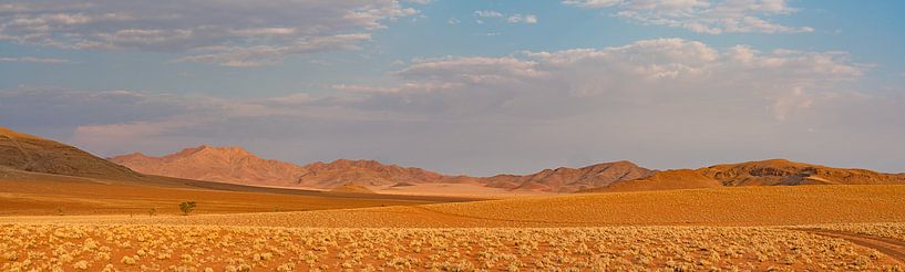 Panorama der Landschaft in Namibia von Peter van Vuuren