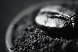 Coffee beans by Poster Art Shop