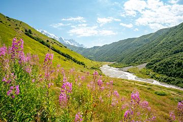 Uitzicht op de Georgische bergtoppen en gletsjers van Leo Schindzielorz