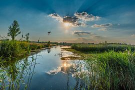 Park Lingezegen at low sun by Bill hobbyfotografie
