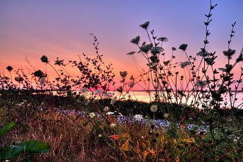 Sonnenuntergang Eemmeer bei Spakenburg