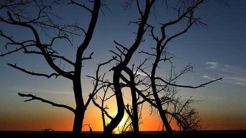 Aushalten Wind und Wasser