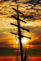 Sail Amsterdam 2015