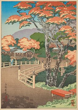 Kyoto Takao, Tsuchiya Kōitsu