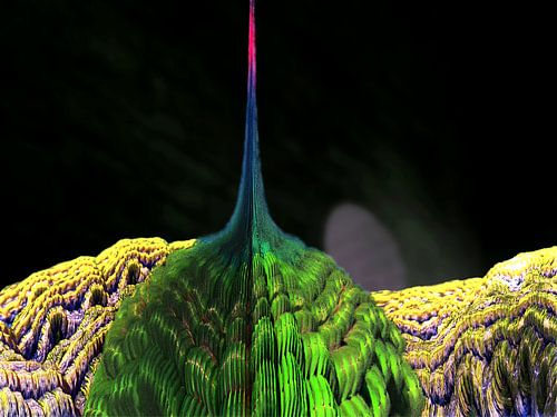 Fijne kant, fractal grafisch