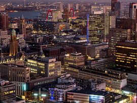 Rotterdam by Night by 24 liquidmedia