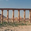 Palmyra – Wo Säulen Geschichten erzählen von WeltReisender Magazin