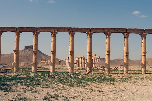 Palmyra – Wo Säulen Geschichten erzählen