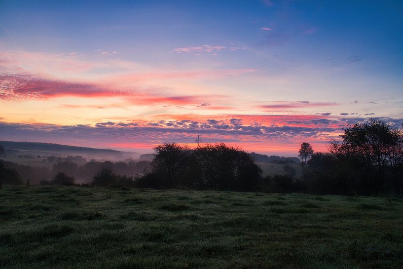 Boom in een weiland in de mist bij zonsopgang van Martin Köbsch