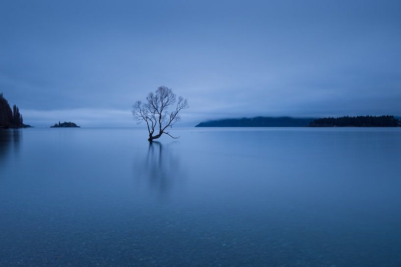 Lac Wanaka par Ronne Vinkx