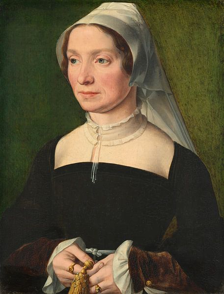 Wife of a Member of the de Hondecoeter Family, 1543 by Masterful Masters