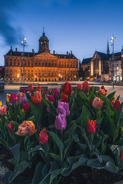 Tulpen am Dam-Platz, Abendversion von Etem Uyar