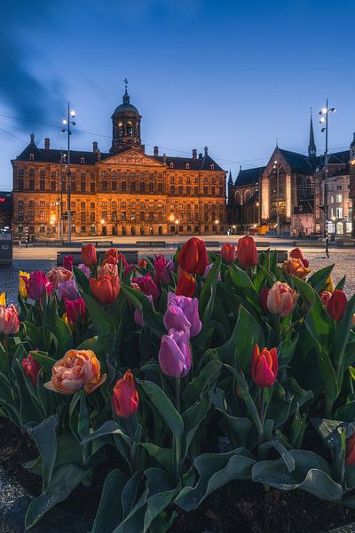 Tulipes sur la place du Dam, version du soir par Etem Uyar