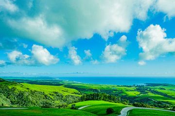 Paysage californien sur Barbara Riedel