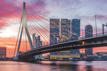Magical morning Erasmus Bridge Rotterdam 2 by Midi010 Fotografie