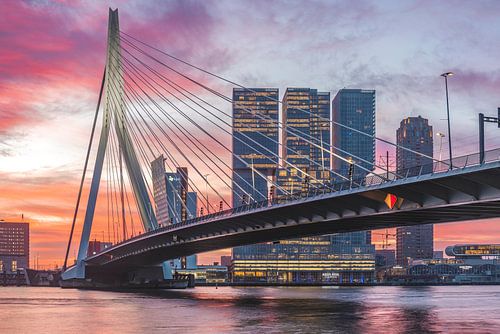 Magical morning Erasmusbrug Rotterdam 2