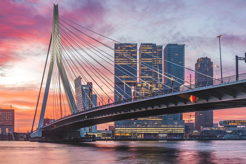 Magical morning Erasmus Bridge Rotterdam 2 by Midi010 Fotografie