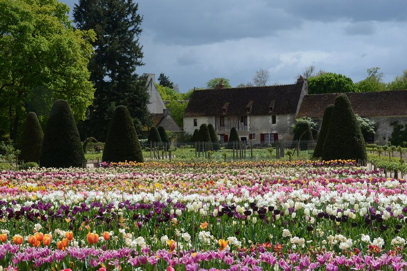 Flower Garden by jacky weckx