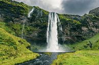 Seljalandsfoss waterval in IJsland op een stormachtige dag van Sjoerd van der Wal Fotografie thumbnail