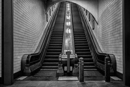 Stairway to the world