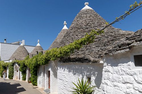 Trulli huisjes in Alberobello (3)
