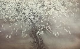 Stars of spring by Nel Talen