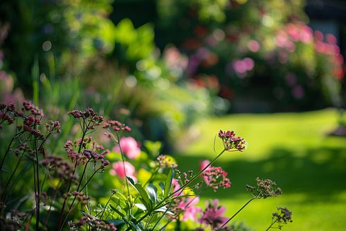 Levendige bloemen in een zonovergoten tuin