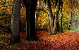 autumn on the Great Field by Wicher Oort
