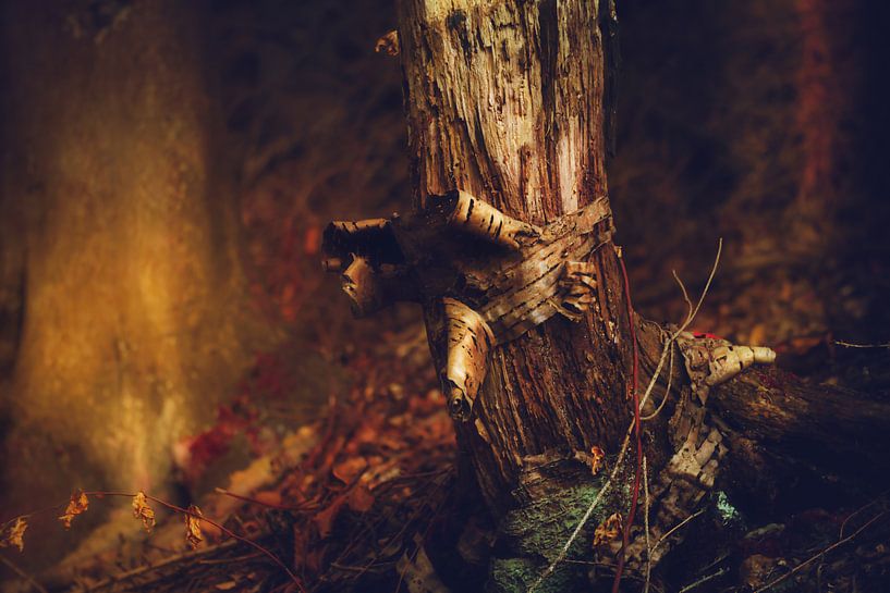 wood by Dagmar Marina