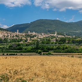 Assisi by Frank Lavooij
