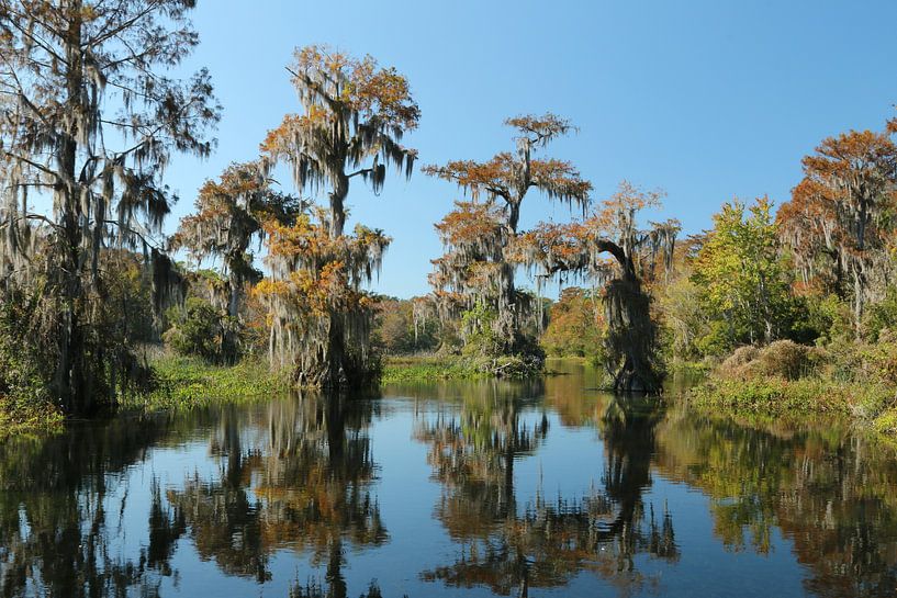 Wakulla Springs, Florida by Charlotte Bakker
