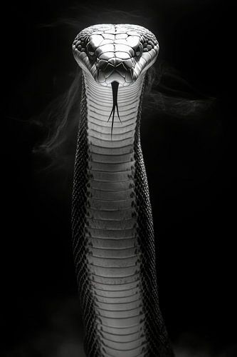Cobra